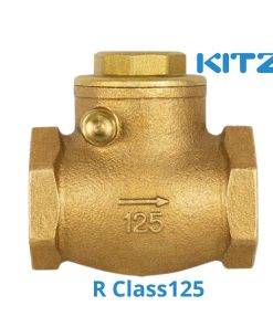 Van 1 Chiều Đồng Kitz R Class 125