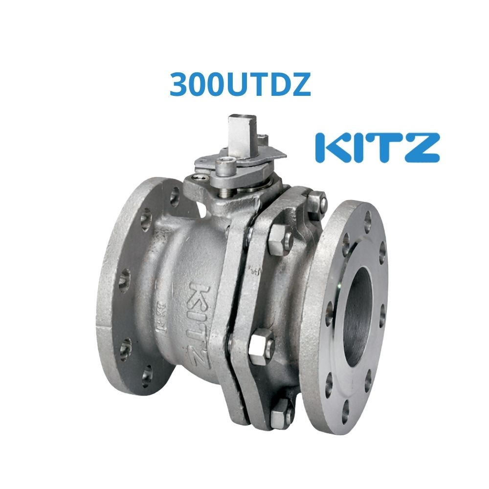 Van Bi Inox Kitz 300UTDZ CLASS300 4 Van Bi Inox Kitz 300UTDZ CLASS300