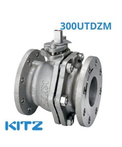 Van Bi Inox Kitz 300UTDZM CLASS300