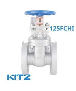 Van cửa gang Kitz 125FCHI PN16